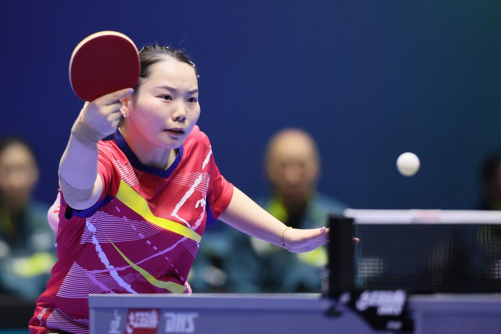 伦敦奥运马术冠军与爱马同日安乐死：二十载相伴书写辉煌传奇